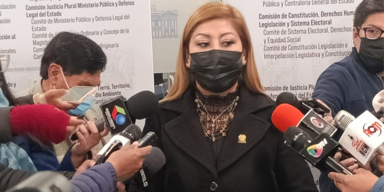 La presidenta de la Comisión de Derechos Humanos, Magali Gómez. (Foto: La Patria)