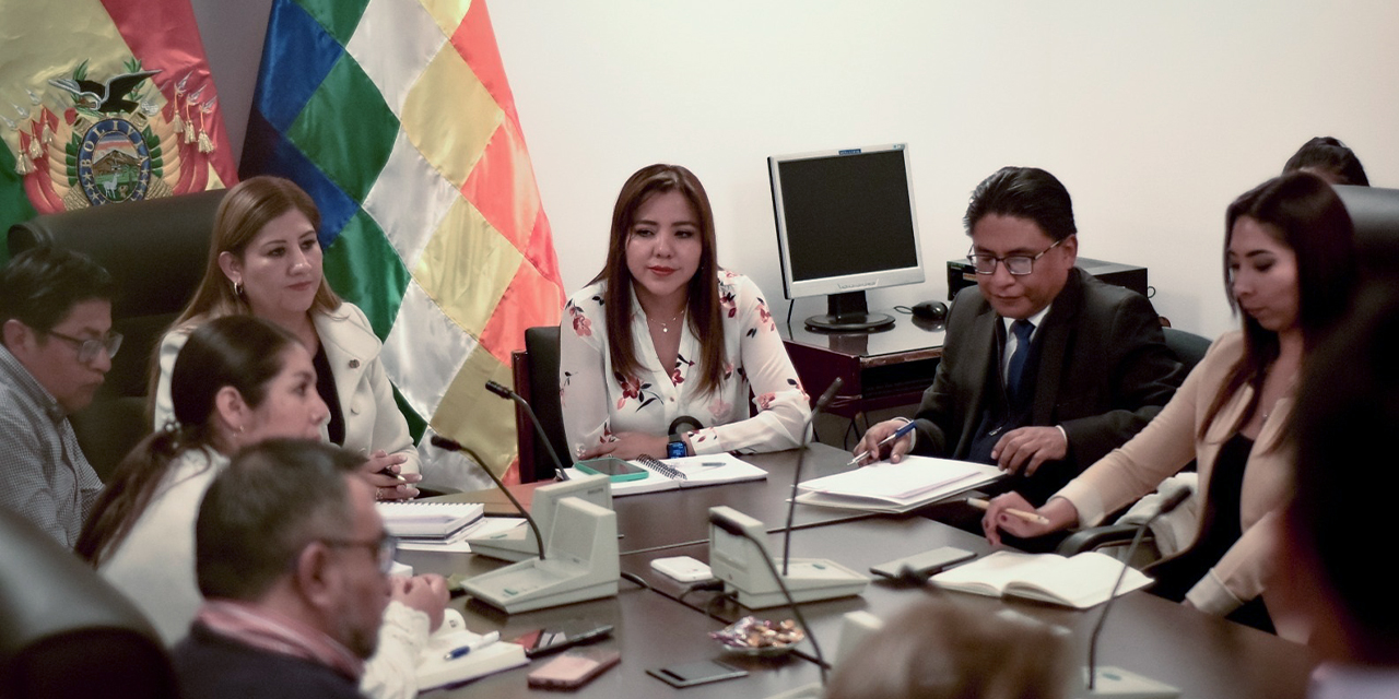 Representantes de la prensa en la Comisión de Derechos Humanos, junto a Alcón y Lima. (Foto: Viceministerio de Comunicación)