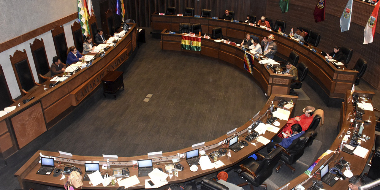 En la Cámara de Senadores están cuatro créditos de inversión para obras. (Foto: Gonzalo Jallasi)