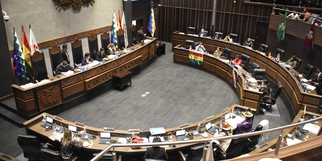 La Cámara de Senadores rechazó la aprobación por dispensación del proyecto de Ley del Oro. (Foto: Gonzalo Jallasi)