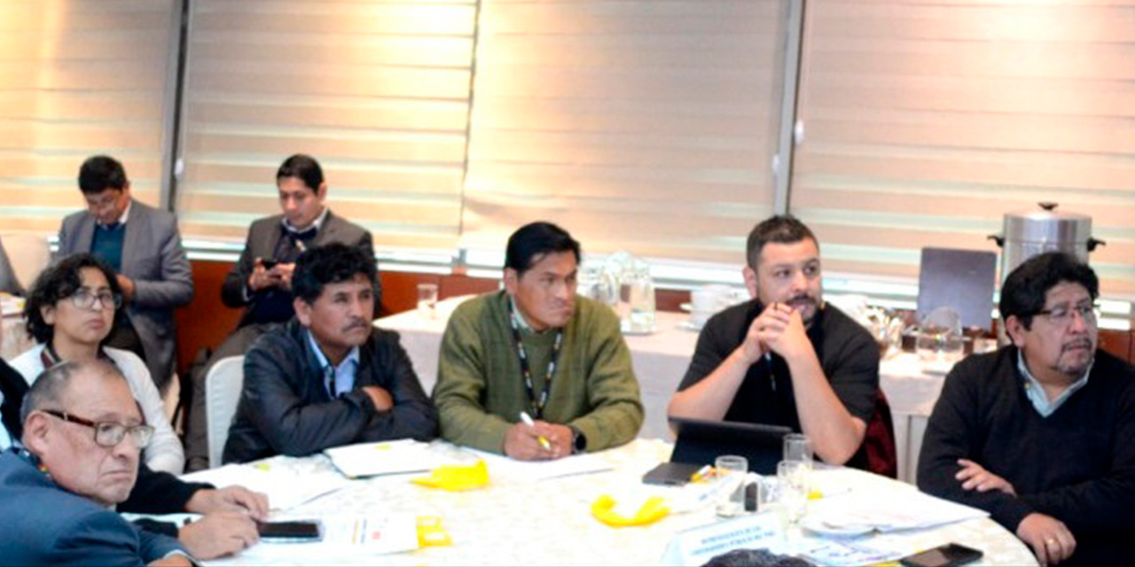 Los expertos durante una reunión del comité. (Foto: TSE)