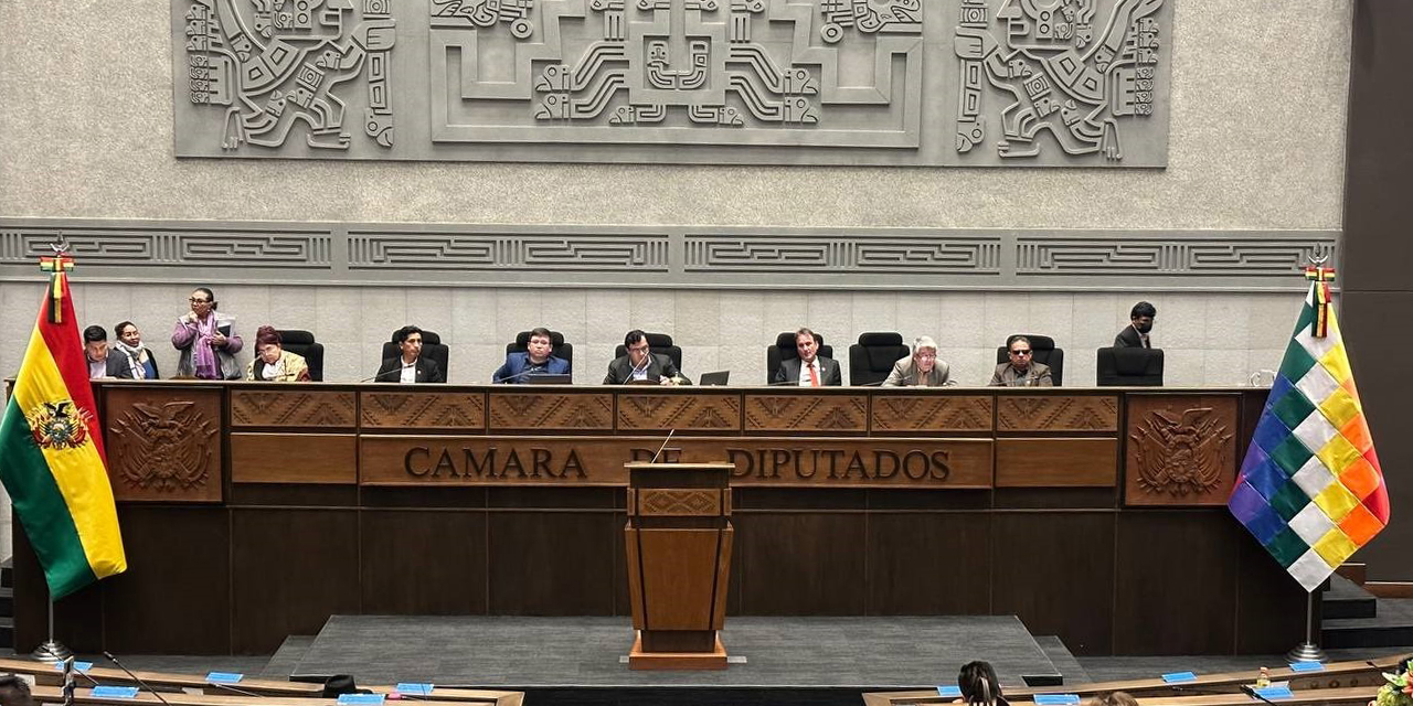 La Cámara de Diputados durante la sesión de ayer. (Foto: Cámara de Diputados)