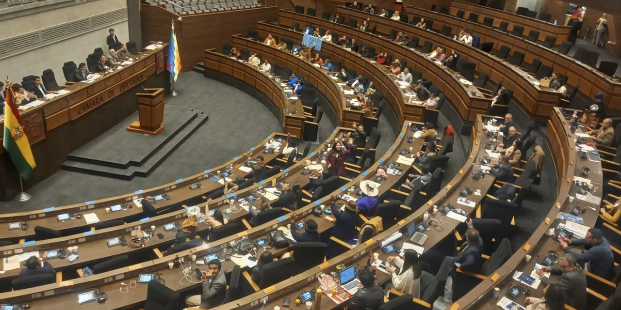 Una sesión en la Cámara de Diputados. (Foto: Diputados)