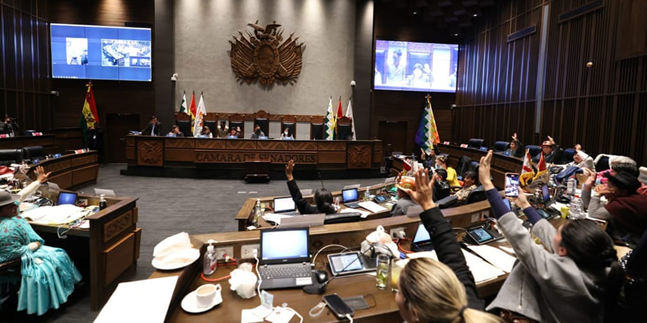 El pleno del Senado sancionó el proyecto de Ley de compra de oro destinado al fortalecimiento de las reservas internacionales. (Foto: Senado)