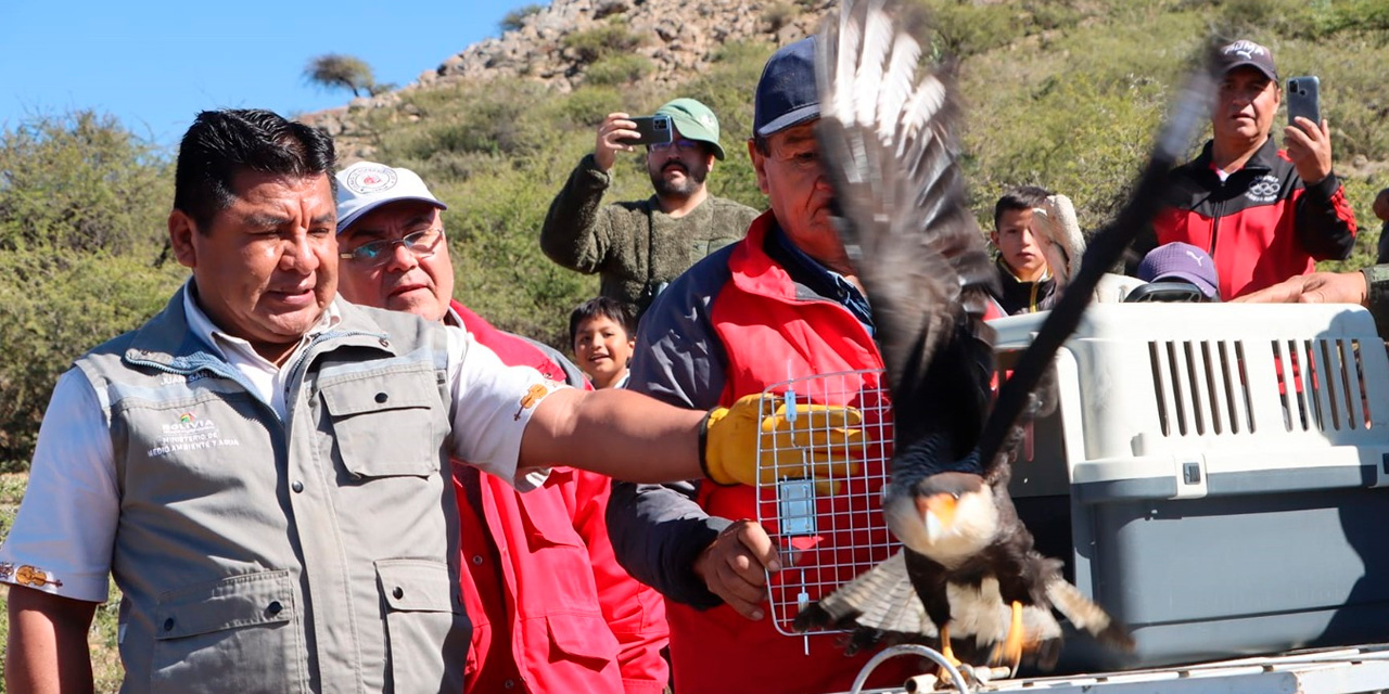 El exministro de Medio Ambiente y Agua Juan Santos Cruz, durante la liberación de un alkamari. (Foto: RRSS)