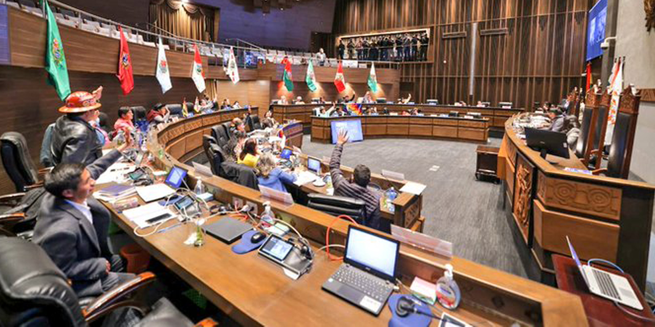 Foto: Senado Bolivia