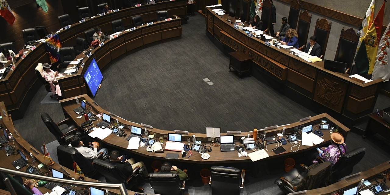 El pleno de la Cámara de Senadores. (Foto: Archivo)