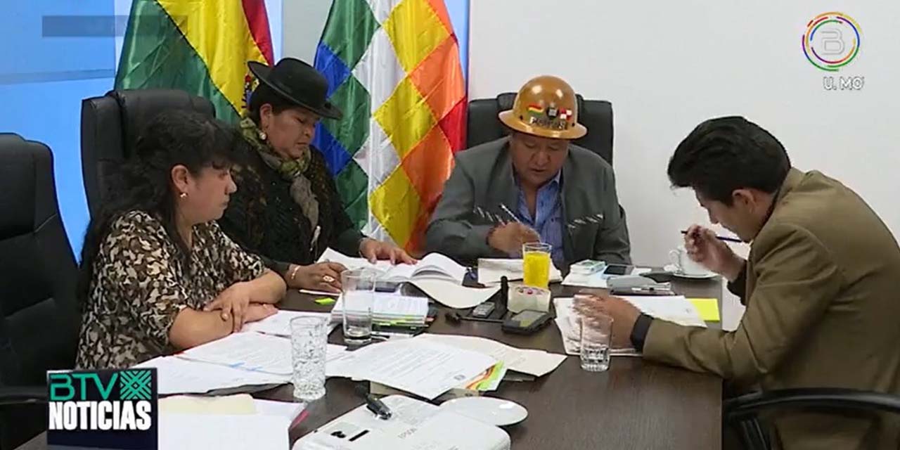 La Comisión de Planificación en reunión. | Foto: Captura