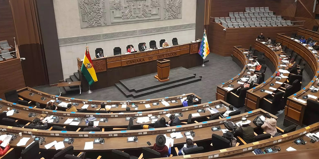 El pleno de la Asamblea Legislativa Plurinacional. (Foto: Gonzalo Jallasi)