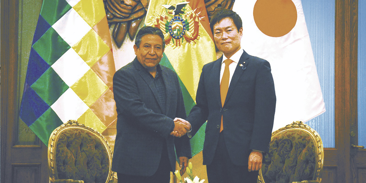 El Vicepresidente de Bolivia y el Viceministro de Asuntos Exteriores de Japón. (Foto: Presidencia)