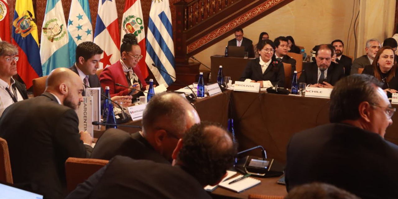 La viceministra de Gestión Consular, Eva Chuquimia, en la reunión en Bogotá.(Foto: Cancillería)