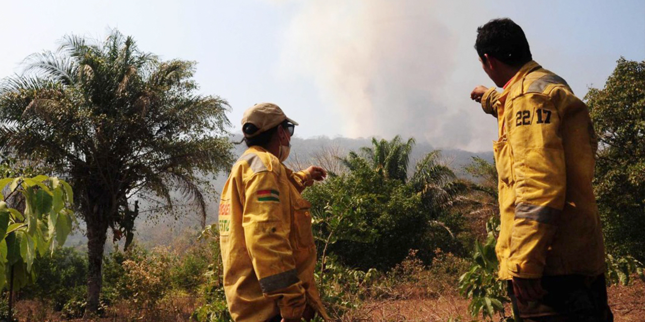 Una zona afectada por los incendios forestales. Foto:  Archivo