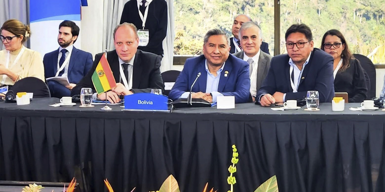 El canciller Rogelio Mayta encabeza la delegación boliviana en Argentina. (Foto: Cancillería)