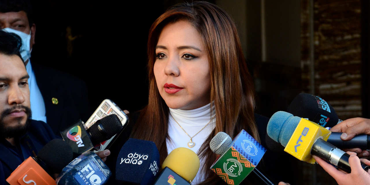 La viceministra de Comunicación, Gabriela Alcón.