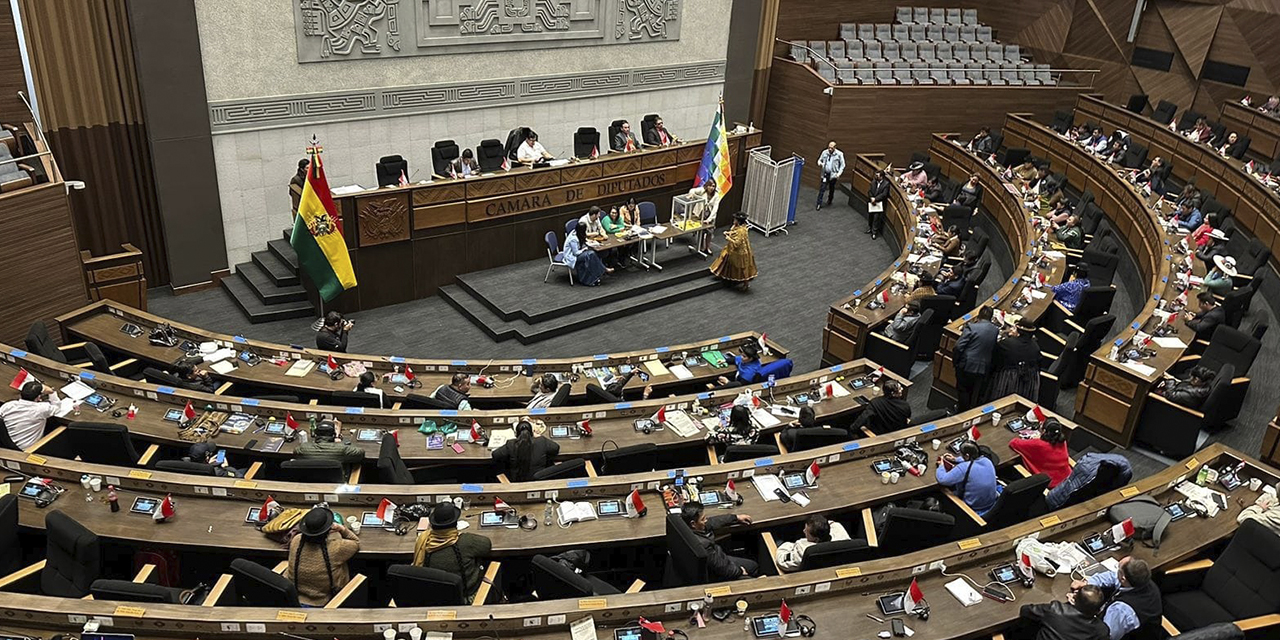 El pleno de la Cámara de Diputados. (Foto: Gonzalo Jallasi)