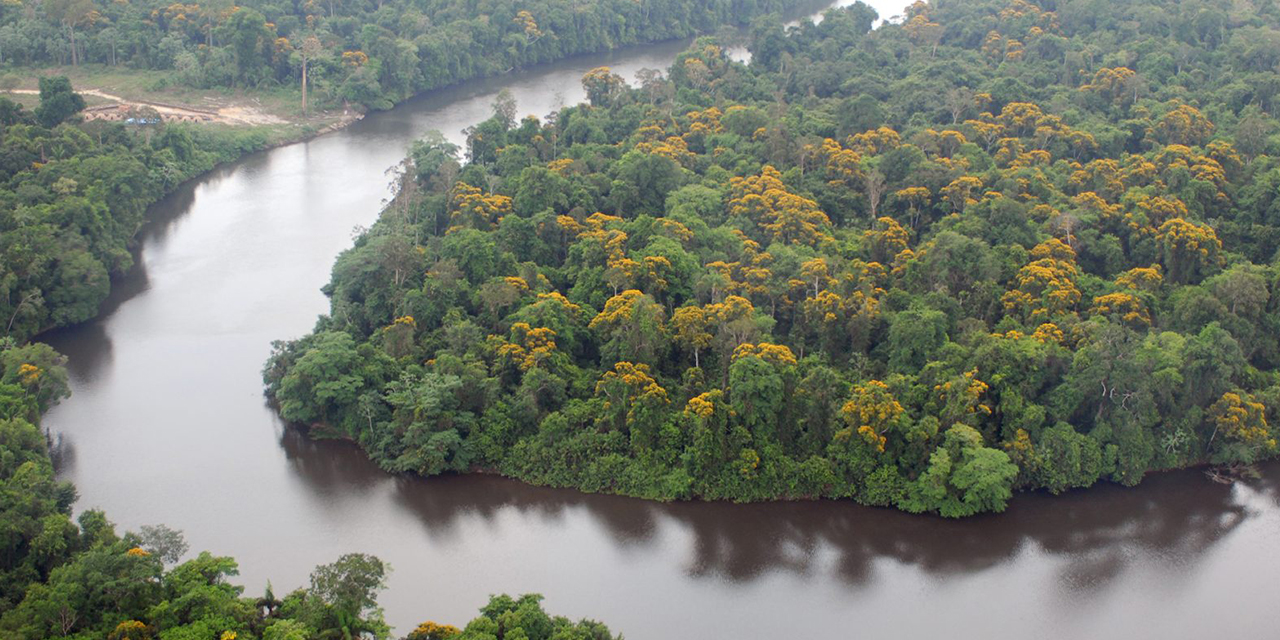 El río Branco, en Brasil.