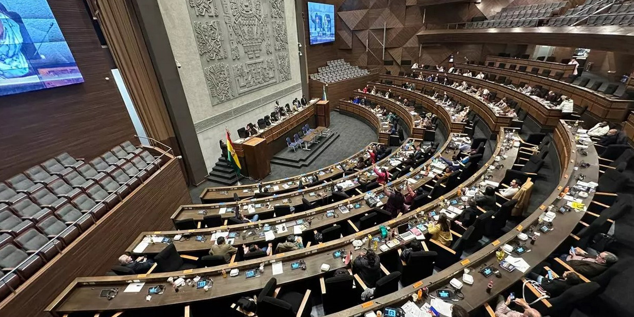 El pleno de la Cámara de Diputados. | Foto: Prensa Diputados