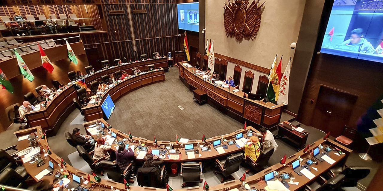 El pleno de la Cámara de Senadores en sesión. (Foto: Gonzalo Jallasi)