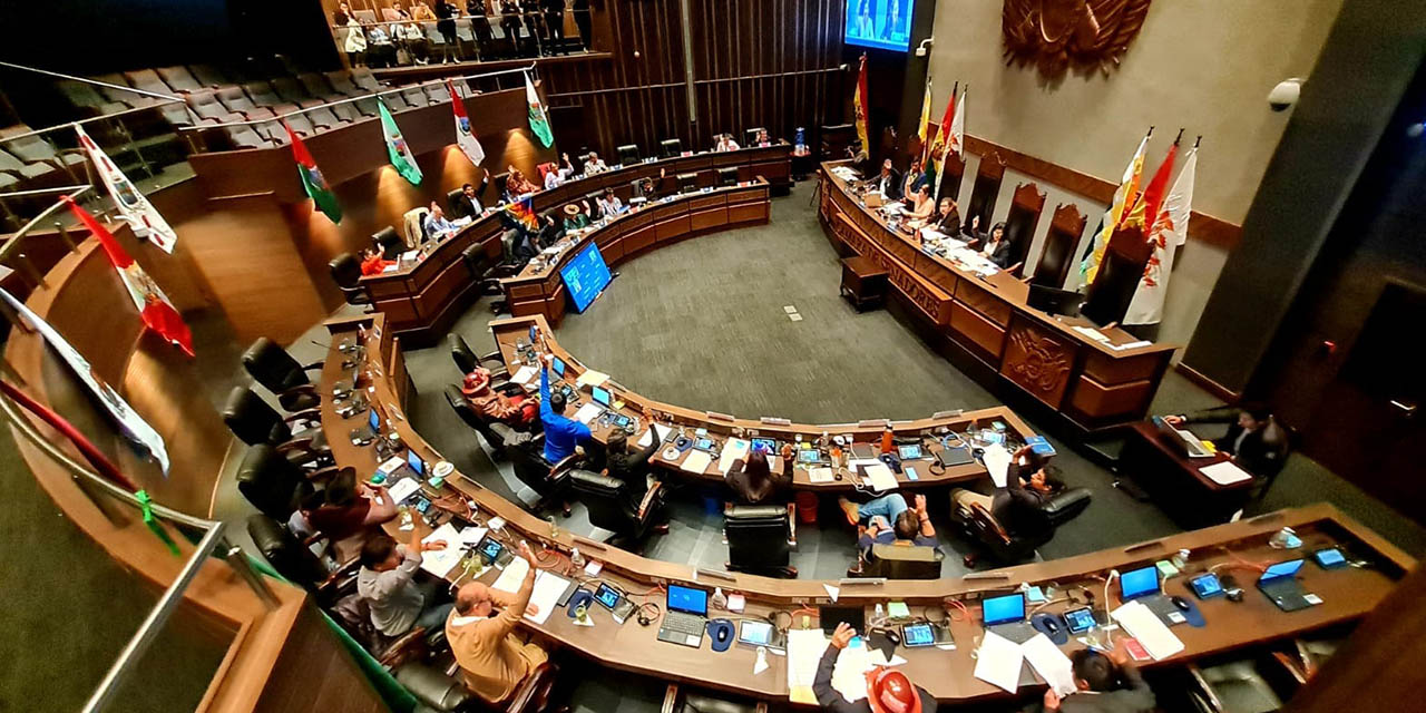 El pleno de la Cámara de Senadores. | Foto: Cámara de Senadores