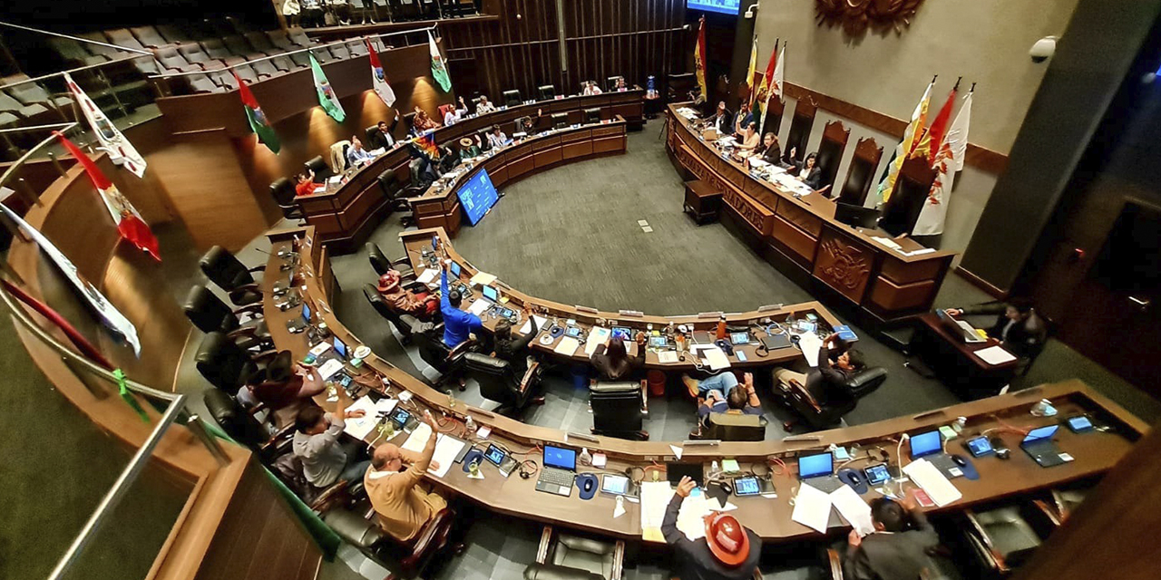 Plenario de la Cámara de Senadores. | Foto: ALP