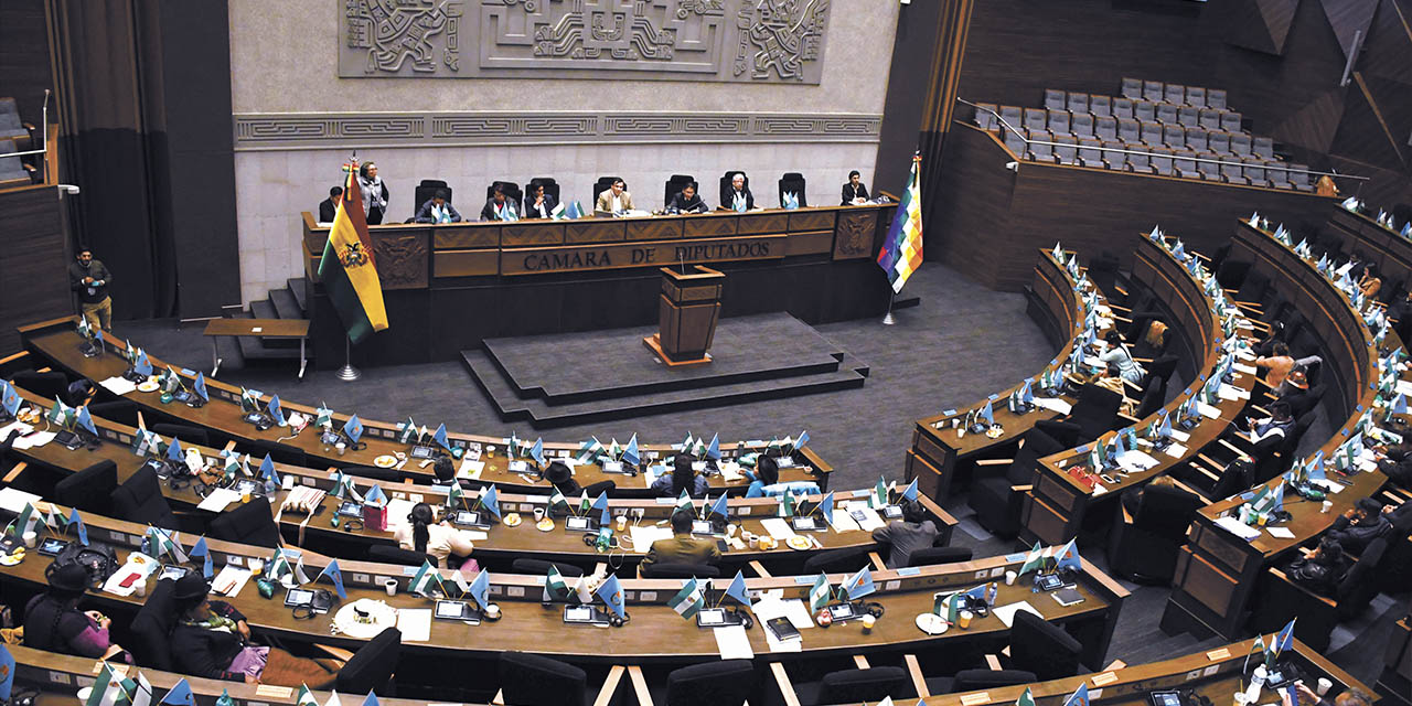 El pleno de la Cámara de Diputados en la Asamblea Legislativa Plurinacional de Bolivia. | Foto: Archivo