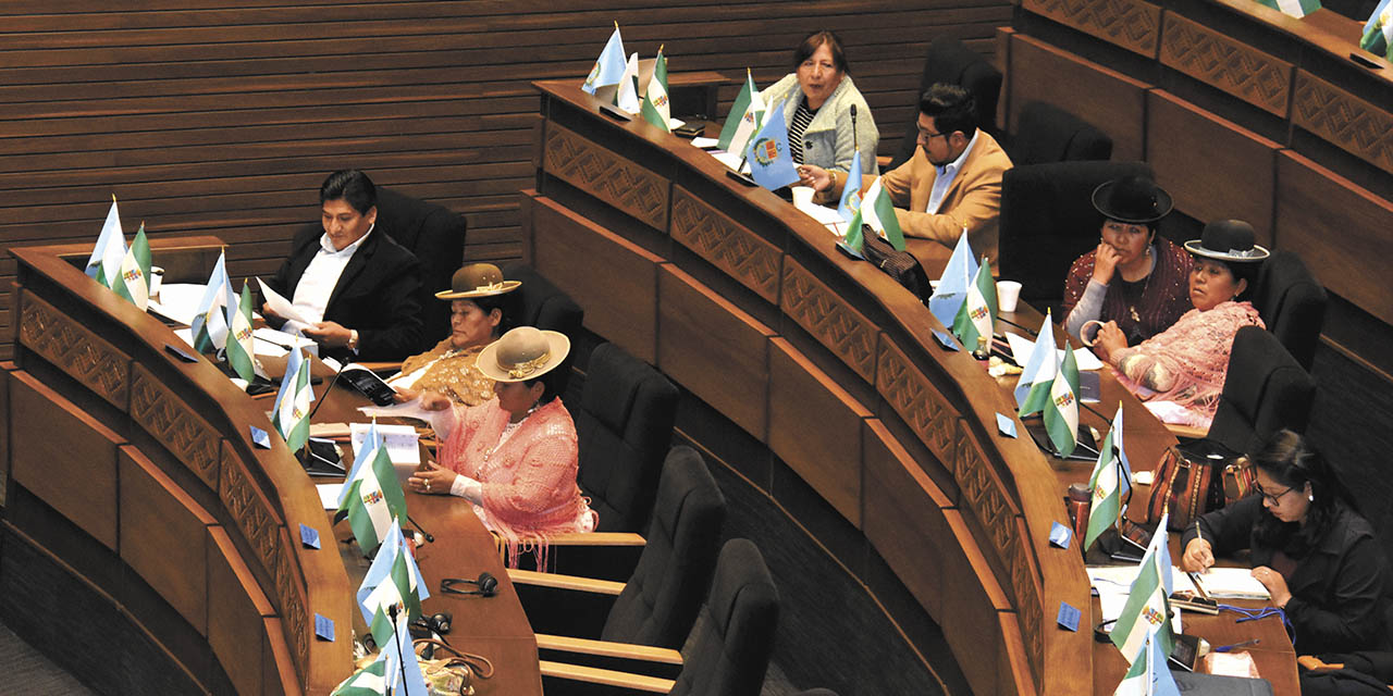 El pleno de la Cámara de Diputados. | Foto: Gonzalo Jallasi