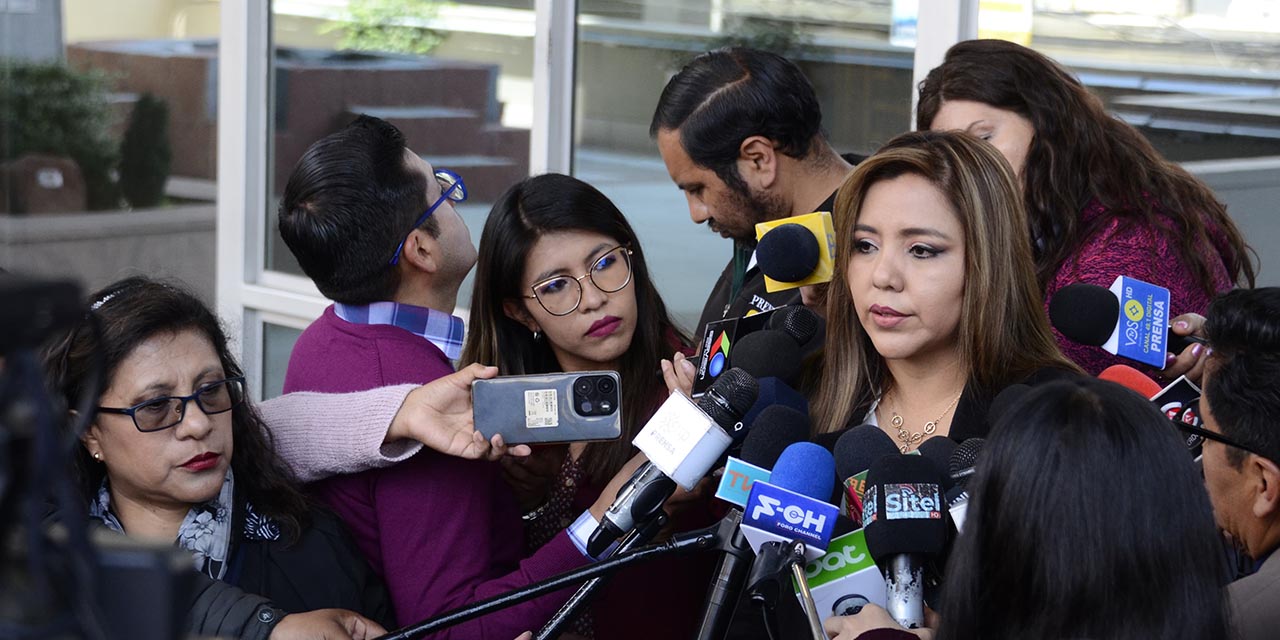 La viceministtra de Comunicación, Gabriela Alcón, en rueda de prensa.