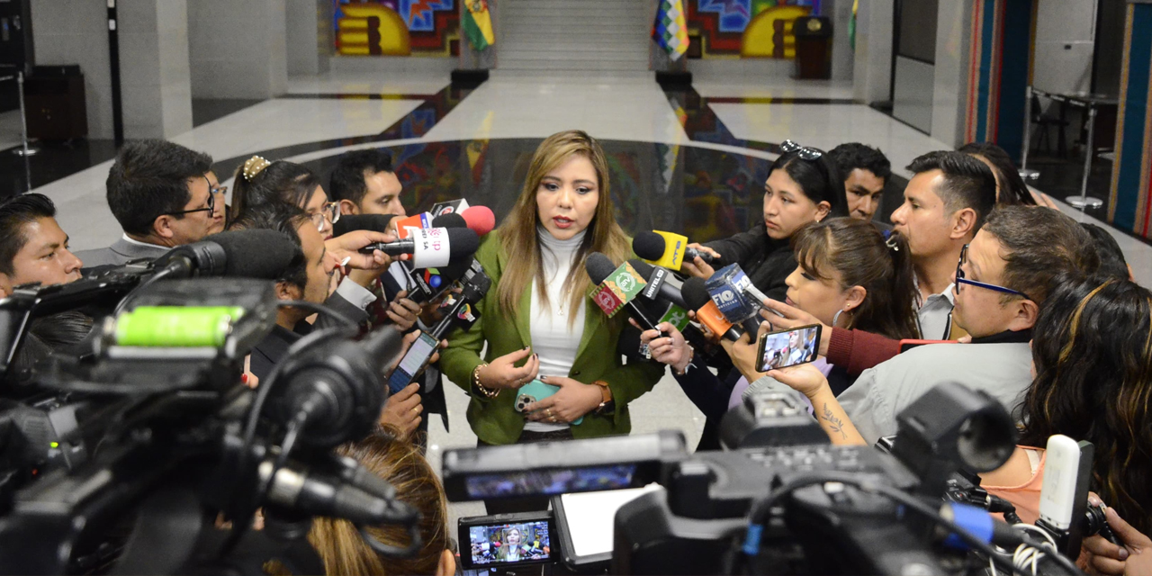 La viceministra de Comunicación, Gabriela Alcón. Foto: Archivo