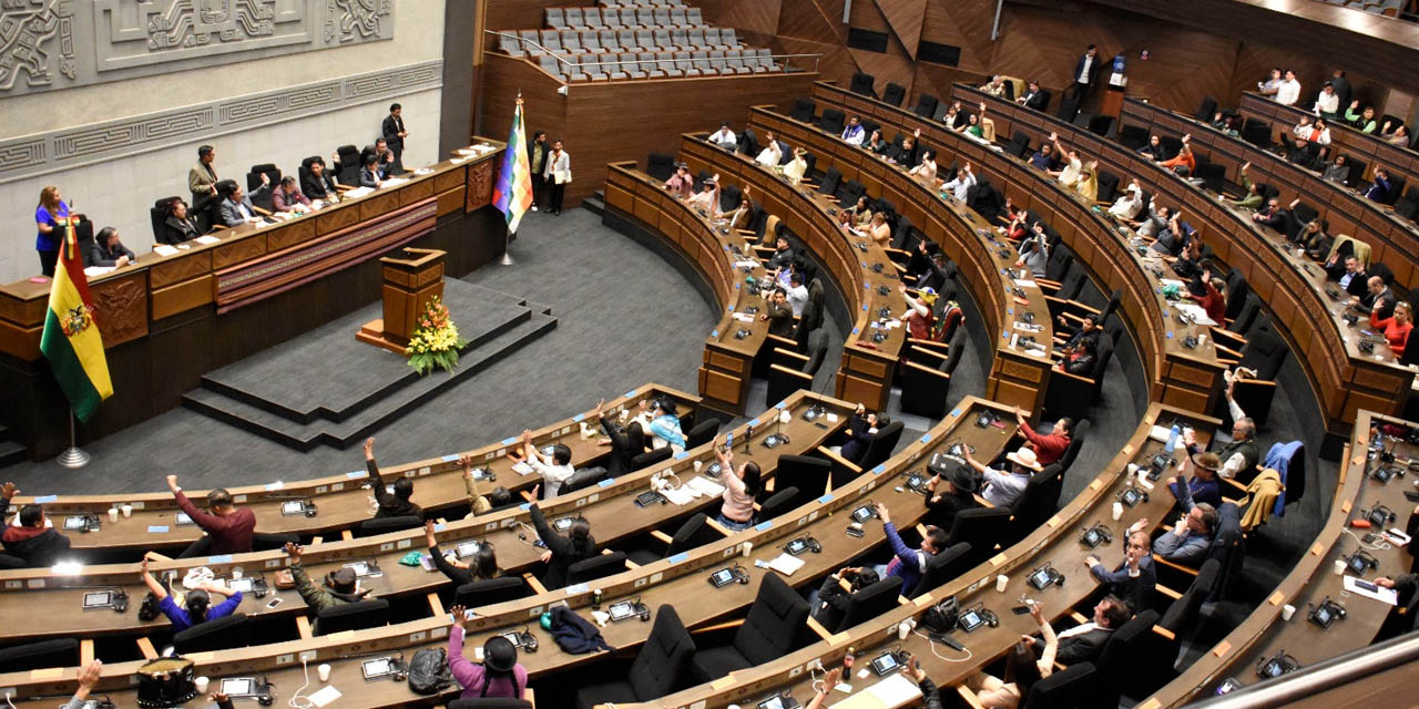 La Asamblea Legislativa Plurinacional (ALP) en la sesión de clausura de la gestión 2022-2023. | Foto: Gonzalo Jallasi