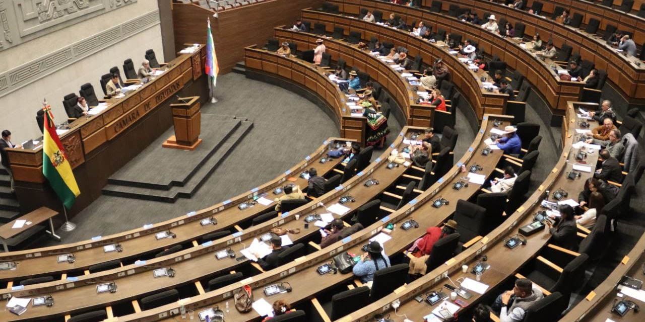 Sesión de la Cámara de Diputados. Foto: Archivo