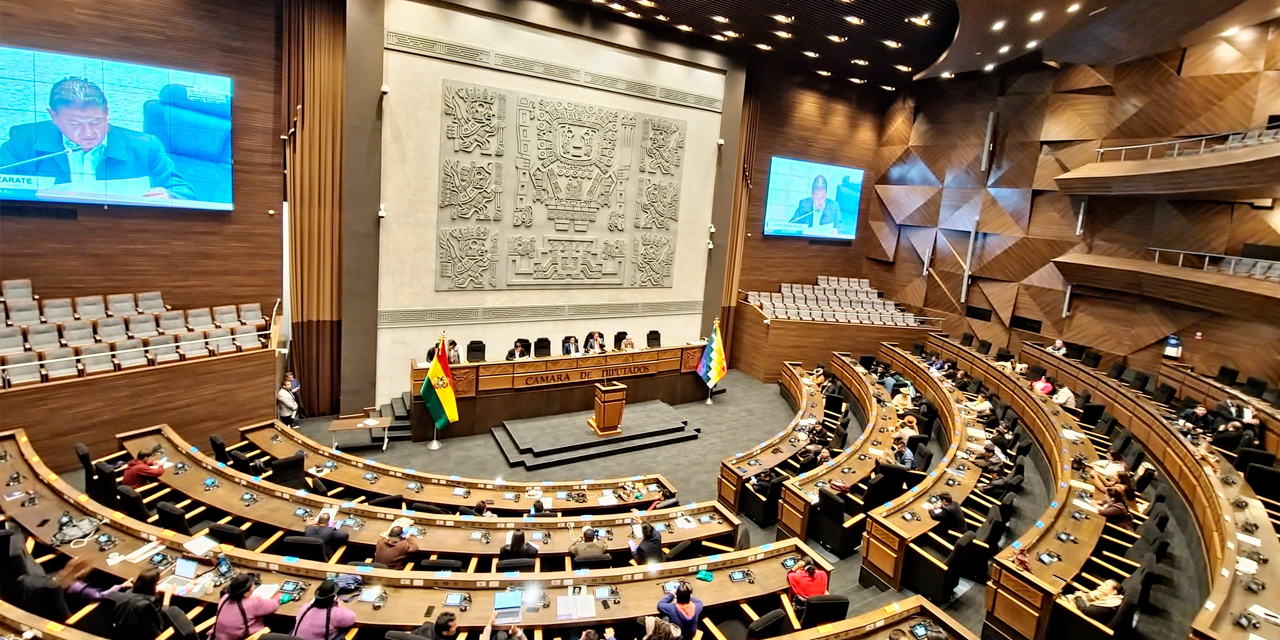 Sesión de la Cámara de Diputados. Foto: Facebook CD