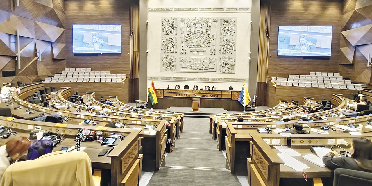 Pleno de la Cámara de Diputados. | Foto: ALP