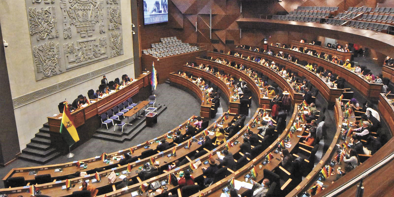 Asamblea Legislativa Plurinacional de Bolivia. | Foto: Archivo