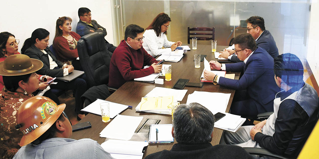 Comisión de Planificación del Senado. | Foto: APG