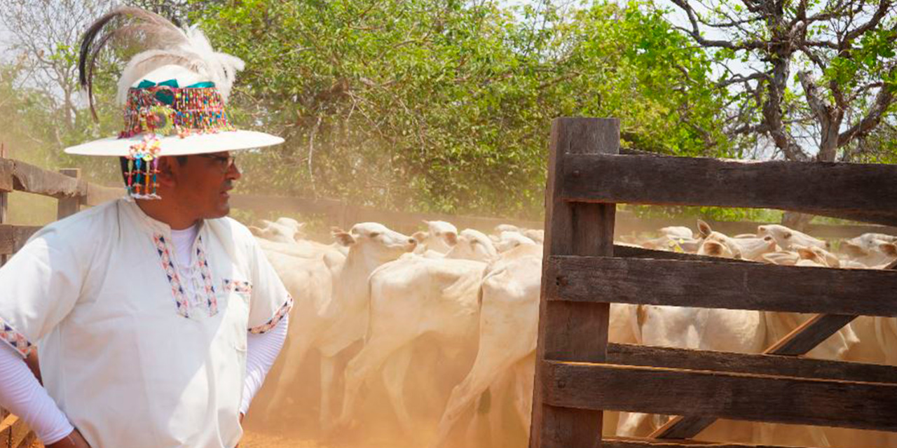 Se incrementará la producción de carne bovina en 25 comunidades. Fotos: MDRYT