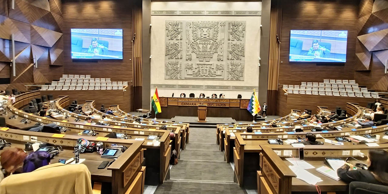 La sesión de la Cámara de Diputados. Foto: CD