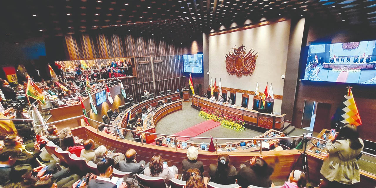 El Pleno de la Cámara de Senadores. | Foto: Senado Bolivia