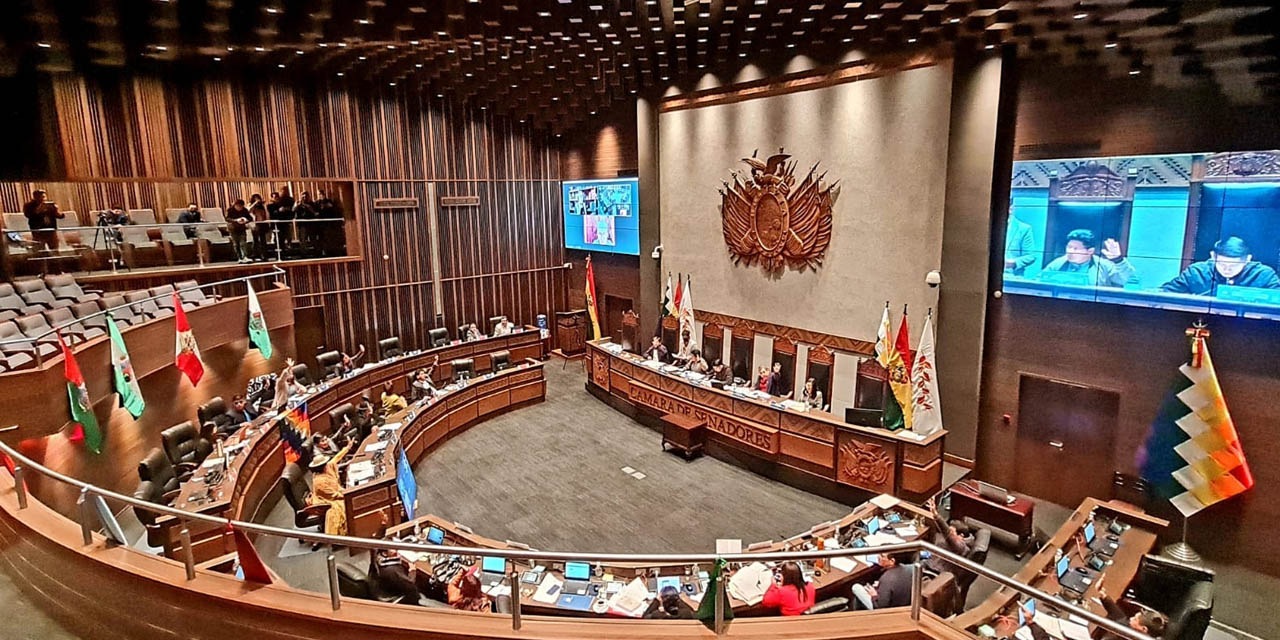 El pleno de la Cámara de Senadores. | Foto: Jorge Mamani