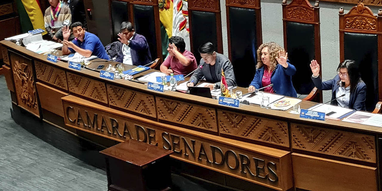 Sesión de la Cámara de Senadores. Foto: Archivo CS