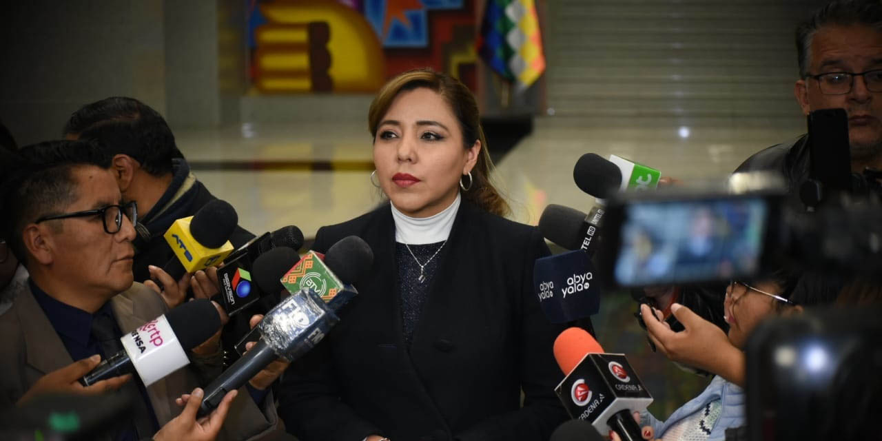 La viceministra de Comunicación, Gabriela Alcón, durante una rueda de prensa.  | Foto: Gustavo Ticona