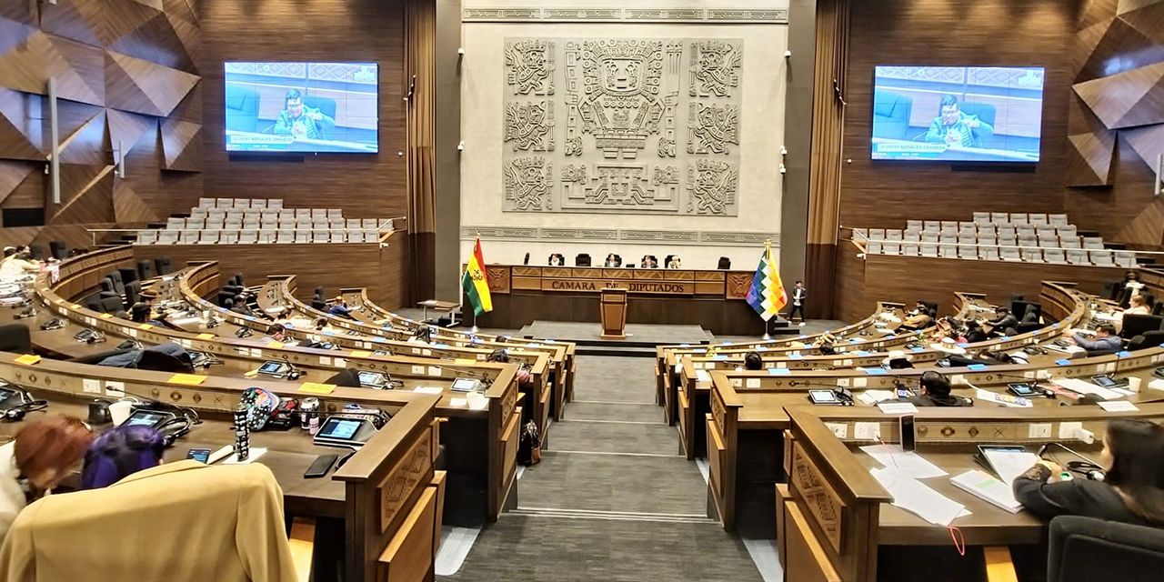 Sesión de la Cámara de Diputados. Foto: CD