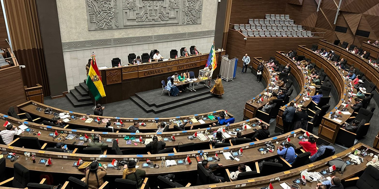 Instantes de la votación en la Cámara de Diputados. Foto: CD