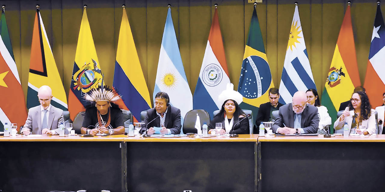 El vicepresidente  David Choquehuanca Céspedes en la XVIII Reunión de Autoridades sobre Pueblos Indígenas del Mercosur, en Brasil. | Foto: Vicepresidencia