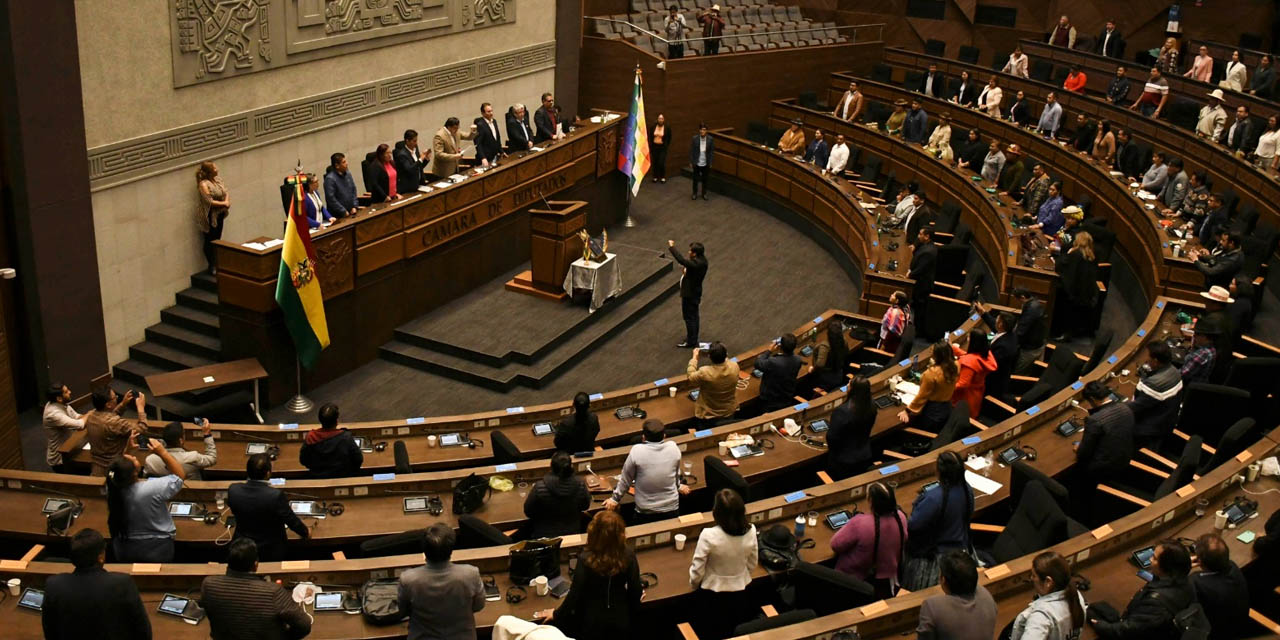 Plenaria en la Cámara de Diputados. | Foto: Archivo