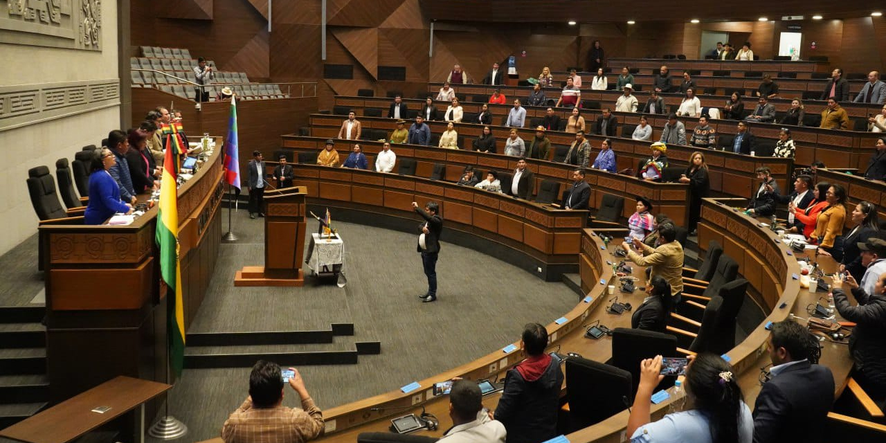 (Foto: Cámara de Diputados)