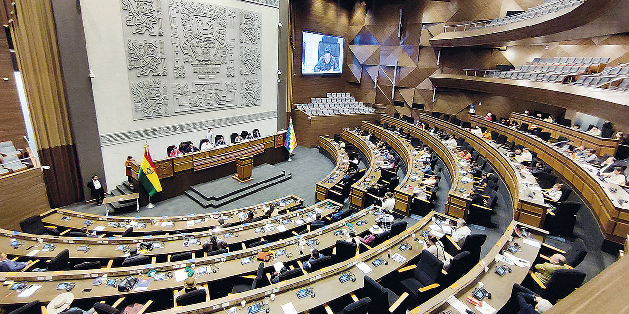 La Asamblea Legislativa Plurinacional de Bolivia. | Foto: ALP