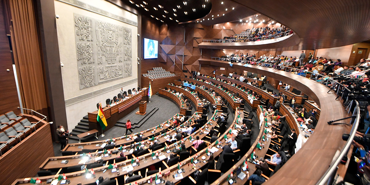 Incidencias de la cuarta sesión ordinaria de la Asamblea Legislativa Plurinacional (ALP). Foto: Josué Cortez / ABI