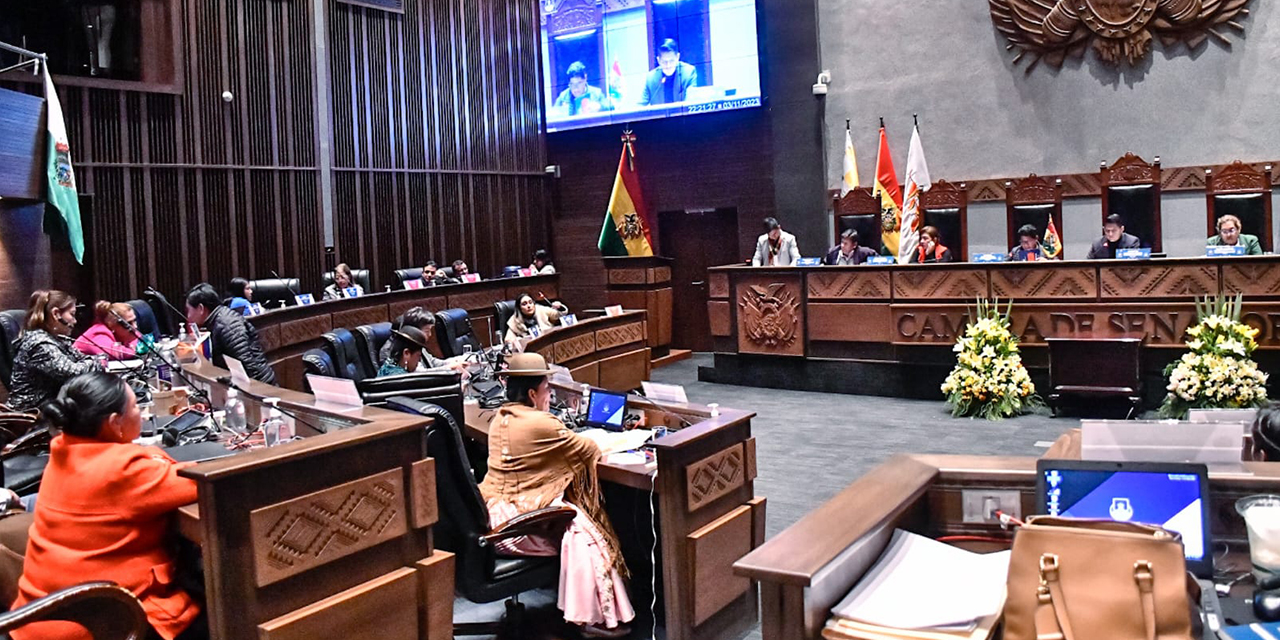 El pleno de la Cámara del Senado.