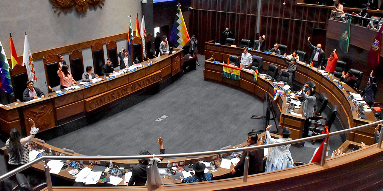 Una de las sesiones de la Cámara de Senadores. Foto: https://carlosdmesa.com/