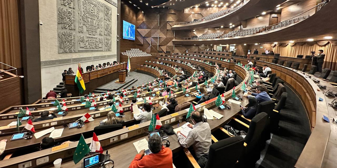 Pleno de la Asamblea Legislativa Plurinacional.